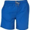 Coast Mens Basic Boardshort Cobalt