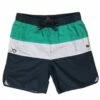 Coast Mens Panel Stripe Boardshort Navy/Green