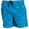 Coast Mens Watsons Bay Boardshort Blue