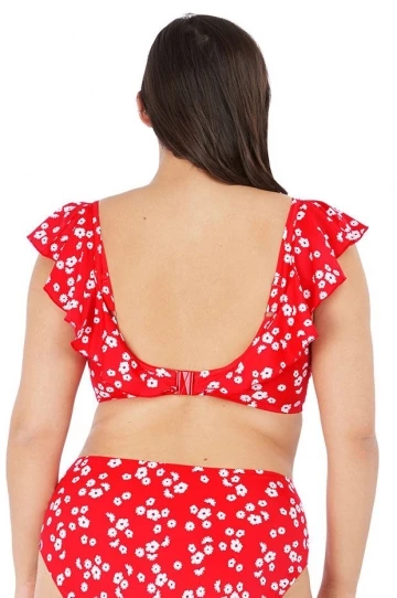 Elomi Plain Sailing F Cup Frill Bra Red 2 Elomi Plain Sailing F Cup Frill Bra Red - Image 2