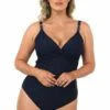 Fantasie Long Island F Cup Plunge One Piece Ink