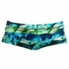 Funky Trunks Mens Icy Iceland Trunk Green/Blue