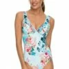 Jantzen Sunset Rose DD/E Cup Mesh Frill One Piece Mint