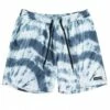 Quiksilver Mens Stripe Mystic Session 17" Boardshort Blue/White