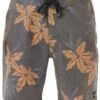 Rip Curl Mens Mirage Cluster 19" Boardshort Black