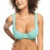 Roxy Mind Of Freedom D Cup Underwire Bra Canton