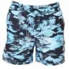 Rip Curl Mens Dreamers Volley Boardshort Black/Blue