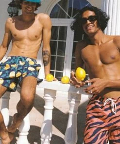 Skwosh Mens Lemon Squeezy Swim Short Charcoal 15 Skwosh Mens Lemon Squeezy Swim Short Charcoal -Cheap Swimweargalore Store skwska120.010 skwosh mens lemon squeezy swim short7