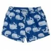 Skwosh Big Blue 2.0 Swim Short Dark Blue