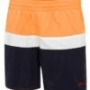 Speedo Mens Split Logo Watershort Navy/Orange
